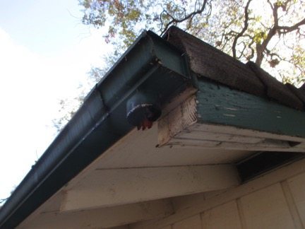 Top Ten Tips for looking for Mold in Buildings No Downspout